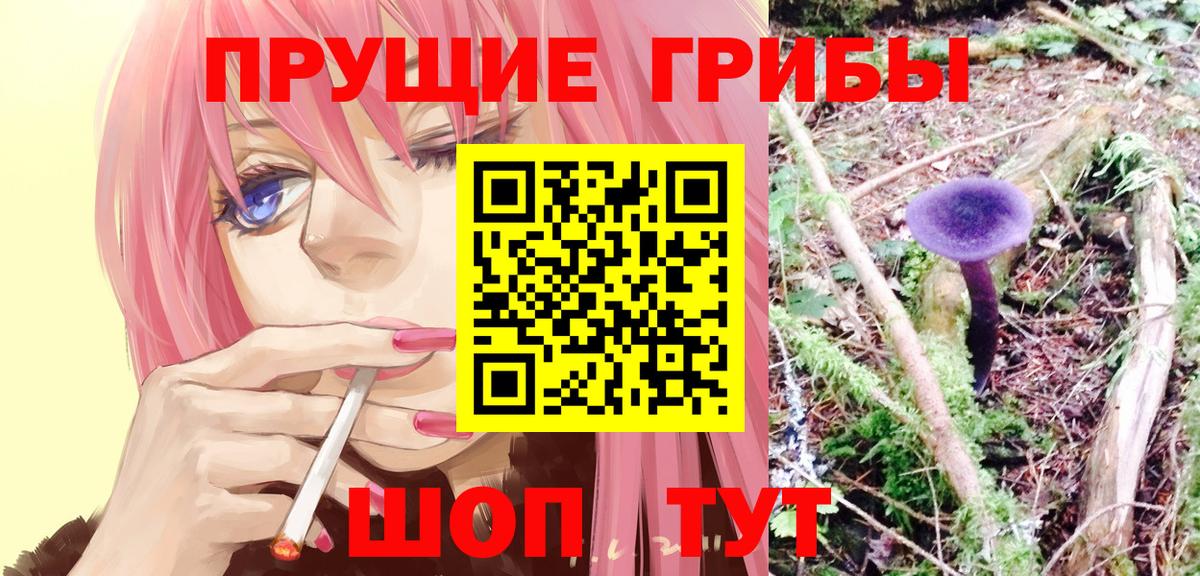 где продают   Галлюциногенные грибы мицелий  Вход с VPN  Галлюциногенные грибы Magic Shrooms  Калач-на-Дону 