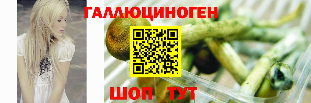 Галлюциногенные грибы ЛСД Калач-на-Дону